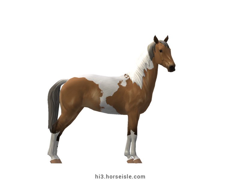 Tennessee Walking Horse Yellow Silver Tobiano Coat